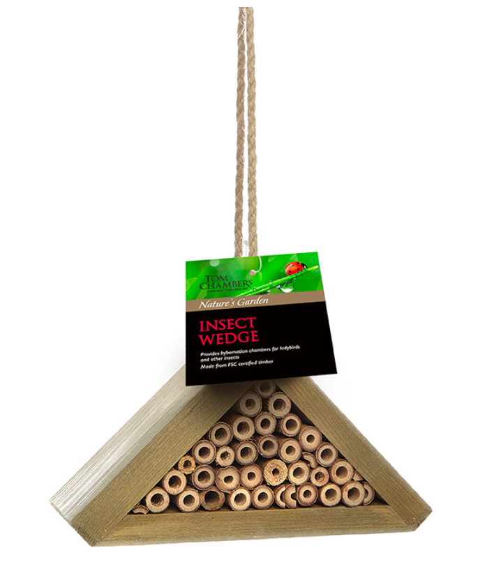 Tom Chambers Insect Wedge