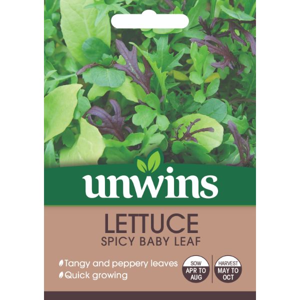 Unwins Seed Packet Lettuce Spicy Baby Leaf