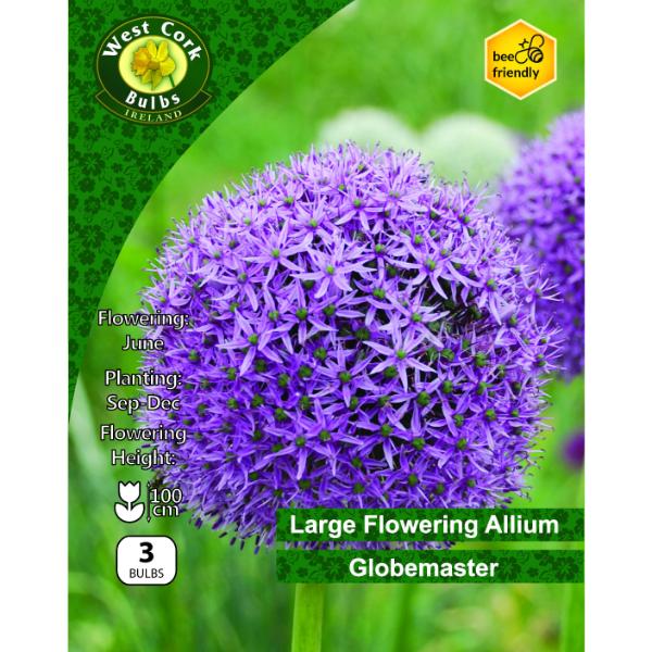 West Cork Bulbs Allium Globemaster 3 Bulbs