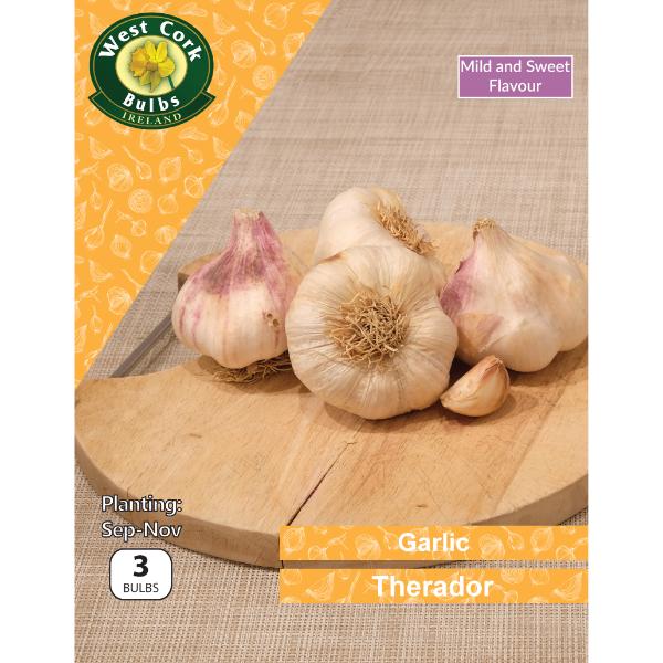 West Cork Bulbs Garlic Therador 3 Bulbs White Garlic