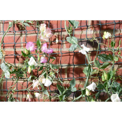 Smart Climbing Plant &amp; Fencing Mesh - Brown 50mm - 1m x 5m