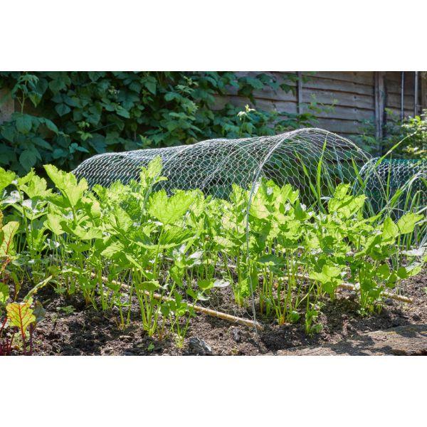 Smart Wire Netting – 25mm Mesh Size 0.5m x 5m 5.5m Roll