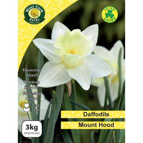 West Cork Bulbs West Cork Bulbs Daffodil Mount Hood 3kg