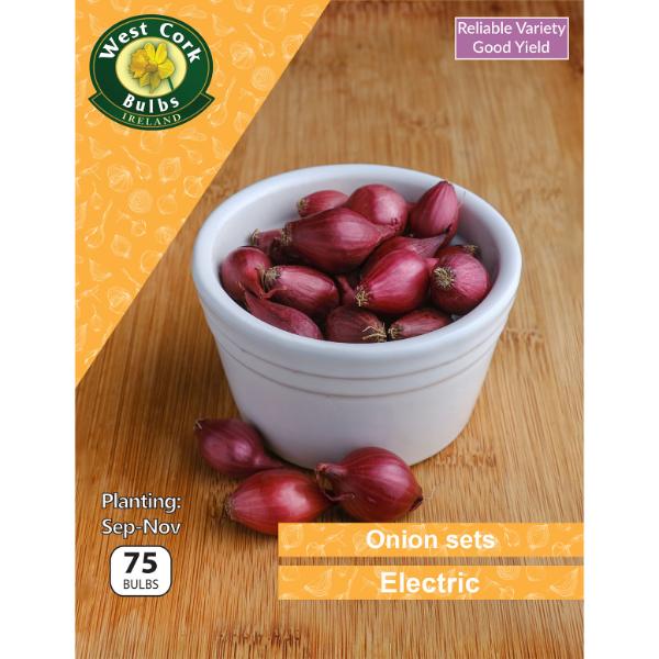 West Cork Bulbs Onions Sets Electric 75 Bulbs