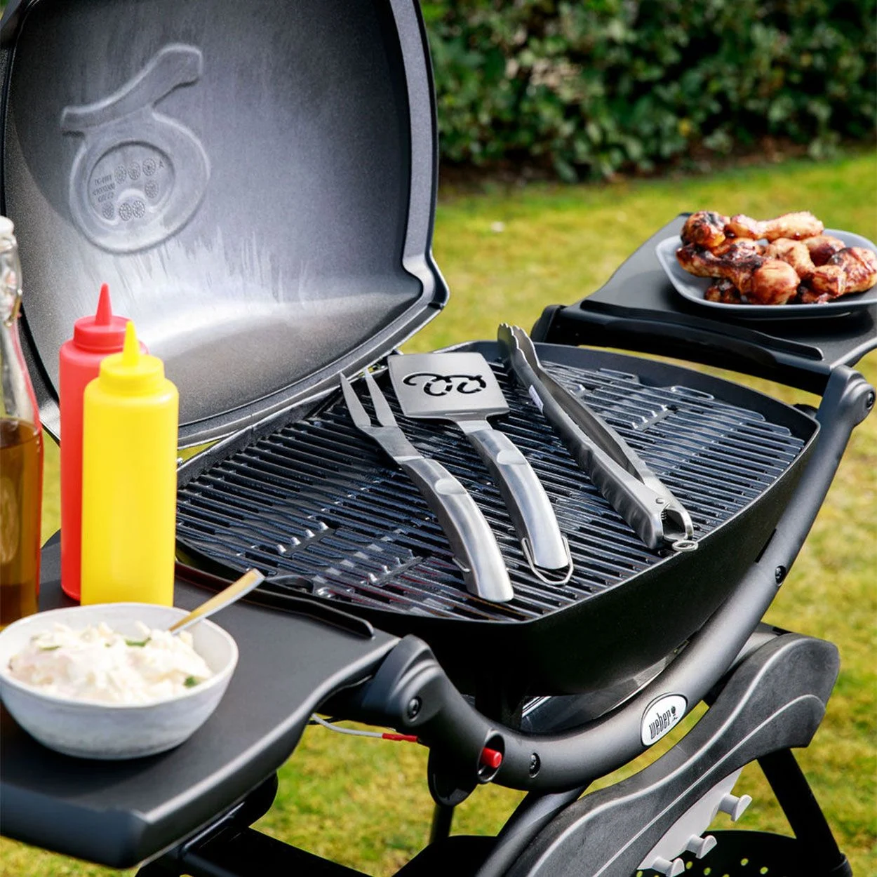 Weber Q 2000 Gas BBQ with Stand Black