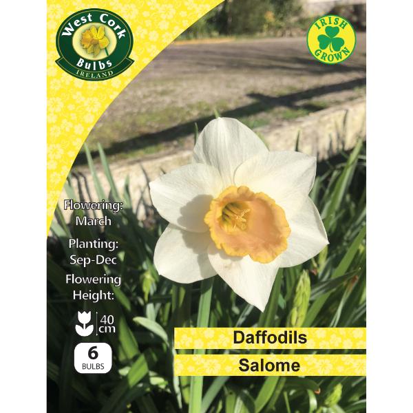 West Cork Bulbs Daffodil Salome 6 Bulbs