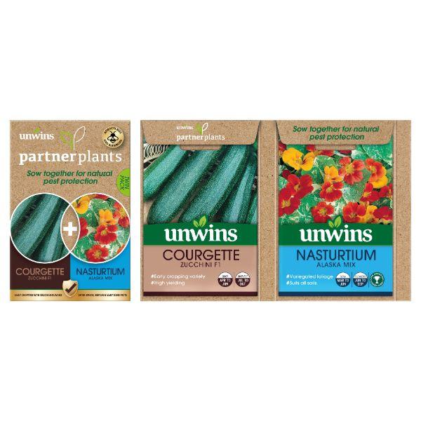 Partner Plants Courgette Nasturtium
