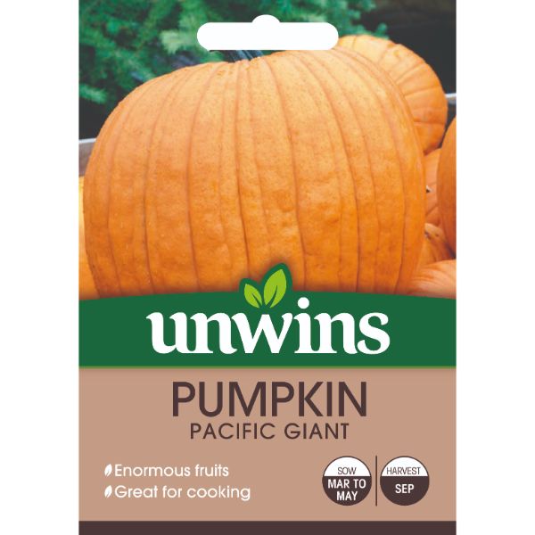 Unwins Seed Packet Pumpkin Pacific Giant