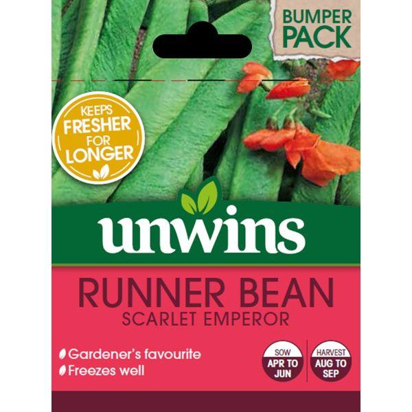 Runner Bean Scarlet Emperor BOX