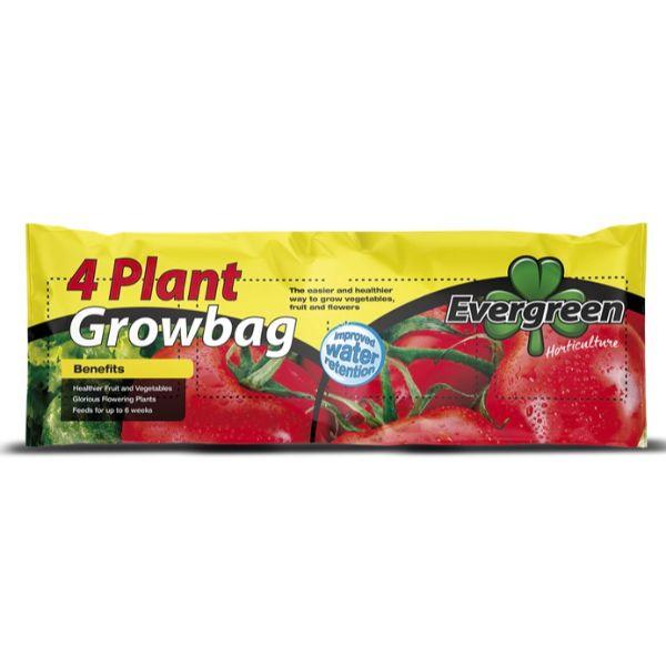 Evergreen 4 Plant Growbag 36L