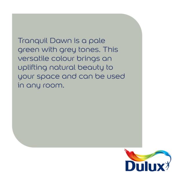 Dulux Walls &amp; Ceilings Soft Sheen Tranquil Dawn 5L