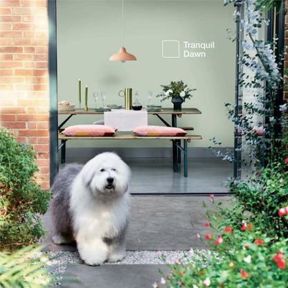 Dulux Walls &amp; Ceilings Soft Sheen Tranquil Dawn 5L