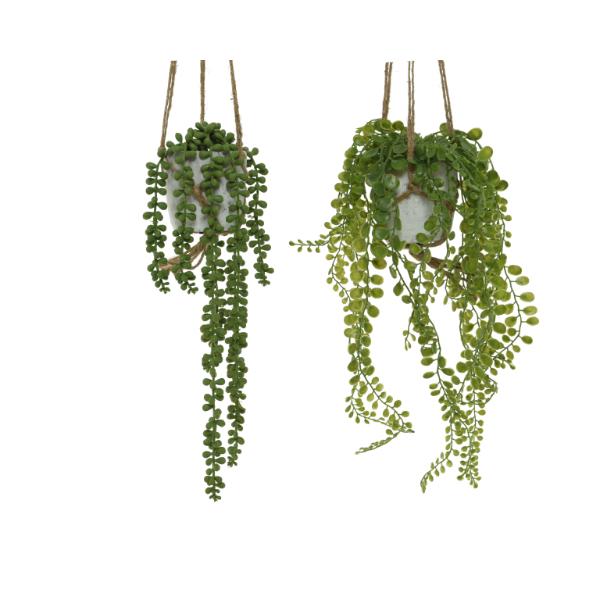 Hanging Plant in Plastic Pot 15cm
