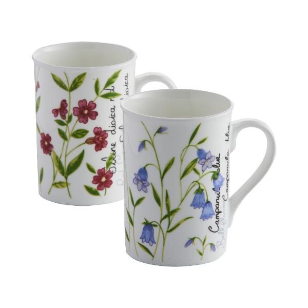 P&amp;K Botanical Assorted Fine China Mugs 30cl