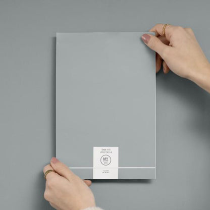 My Colour Durable Matt Steel Mill 2.5L