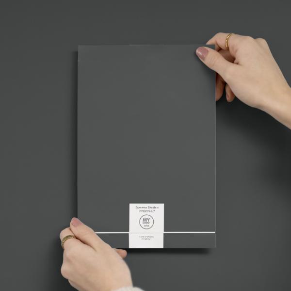 My Colour Durable Matt Summer Shadow 2.5L