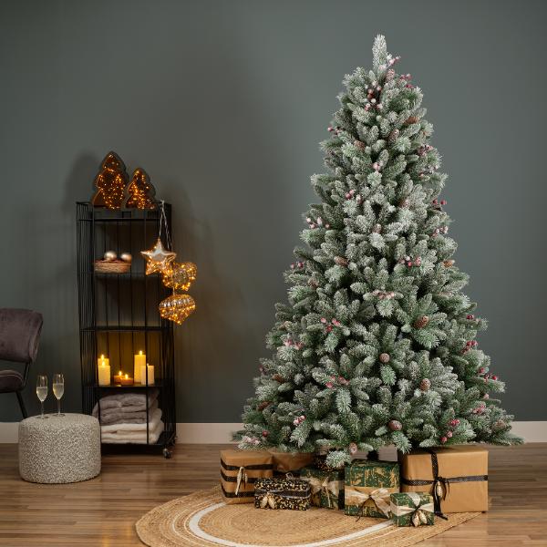7ft (2.1m) Dingle Spruce Tree