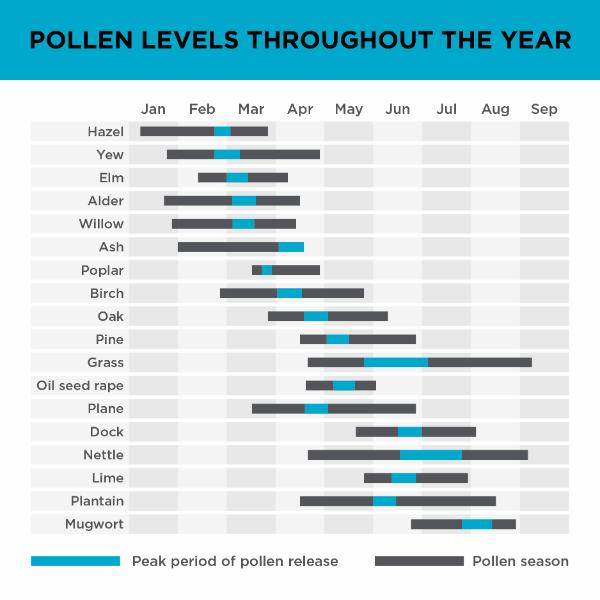 Black &amp; Decker Air Purifier with 8 Hour Timer