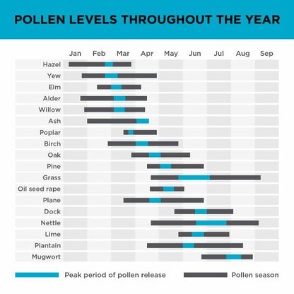 Black &amp; Decker Air Purifier with 8 Hour Timer