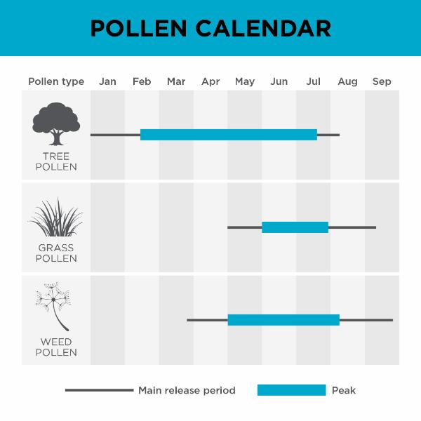 Black &amp; Decker Air Purifier with 8 Hour Timer