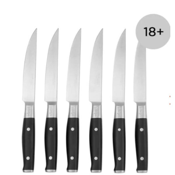 Ninja K32106UK StaySharp 6-Piece Steak Knife Set