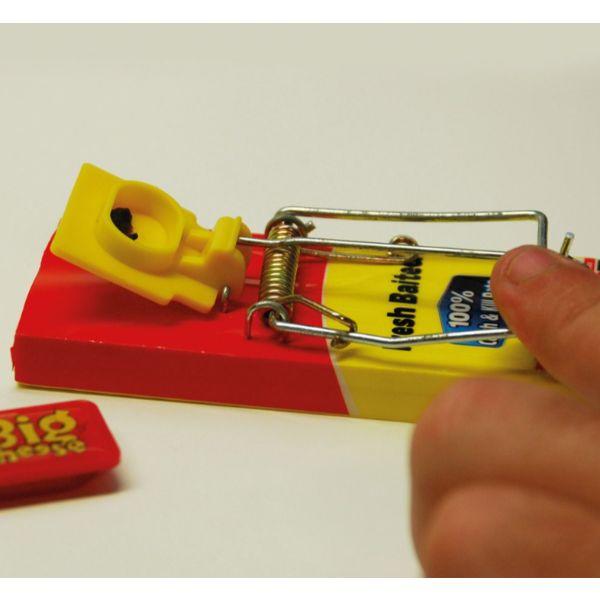 Big Cheese Fresh Baited Mouse Trap