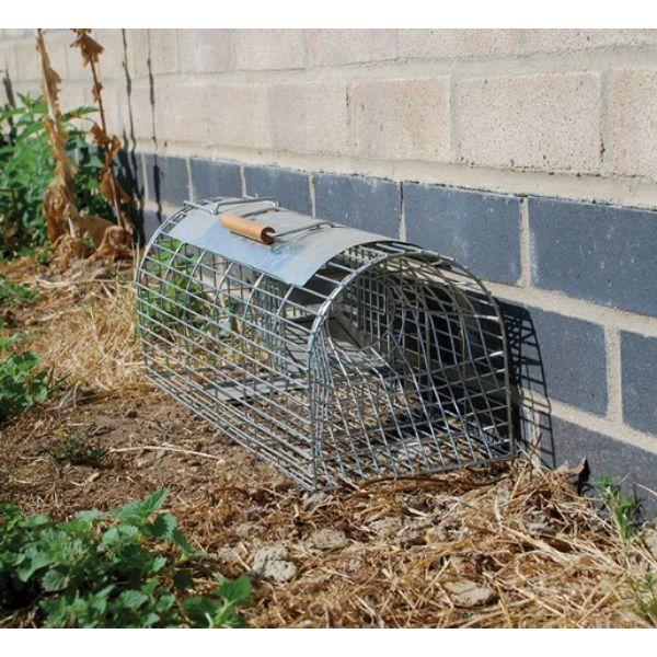 Big Cheese Ultra Power Live Multi-Catch Rat Trap