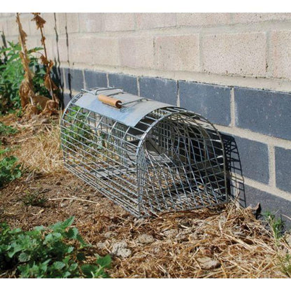 Big Cheese Ultra Power Live Multi-Catch Rat Trap