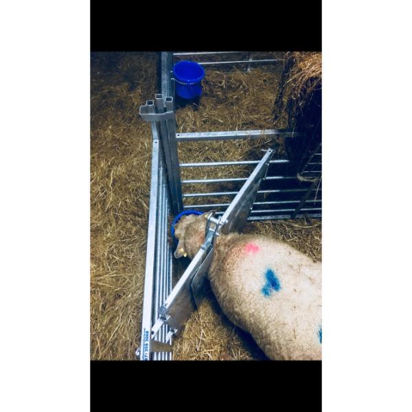 Buffalo Universal Animal Pen Adopter