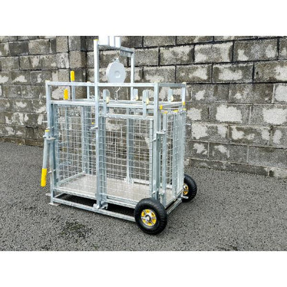 Buffalo Sheep/ Calf Weighing Scales 