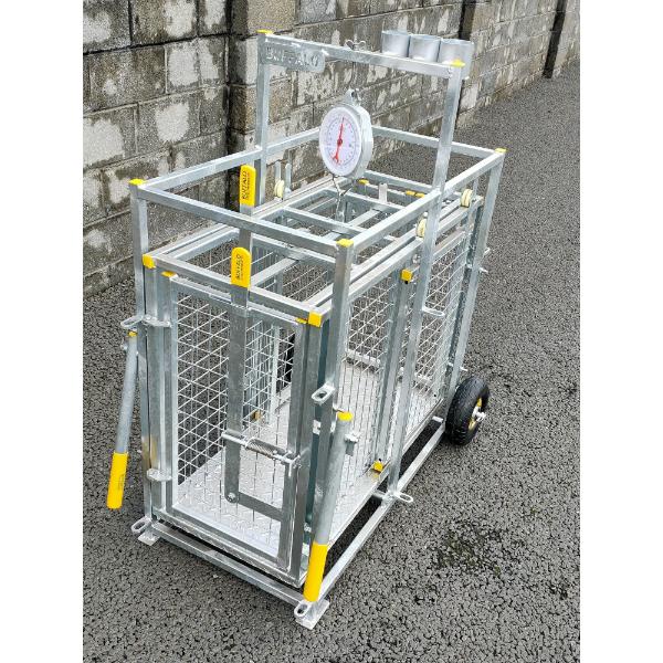 Buffalo Sheep/ Calf Weighing Scales 