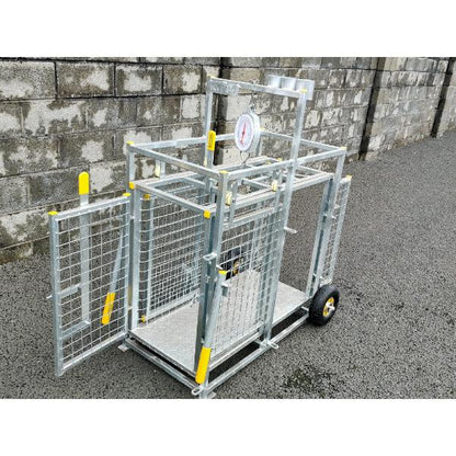 Buffalo Sheep/ Calf Weighing Scales 
