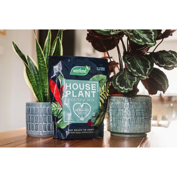 westland houseplant potting mix Westland Houseplant Potting Mix Peat Free 4L – Co-Op Superstores
