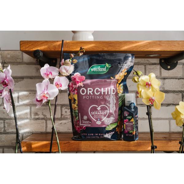 seramis orchid potting mix Westland Orchid Potting Mix (Enriched with Seramis) 4L – Co-Op Superstores