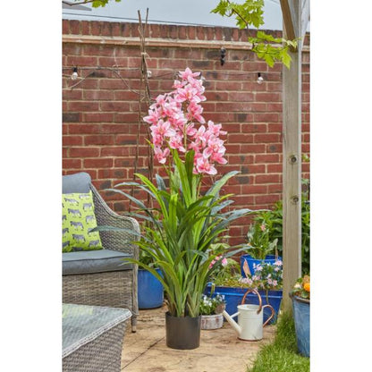 Smart Garden Faux Orchid - 170 cm
