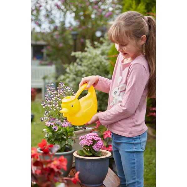 Smart Garden Briers DuckCan