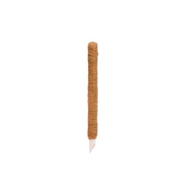 Smart Garden CocoMoss Pole 60 cm