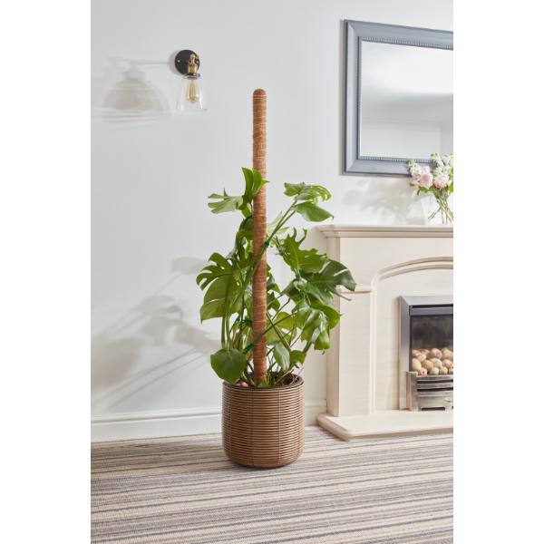 Smart Garden CocoMoss Pole 120 cm