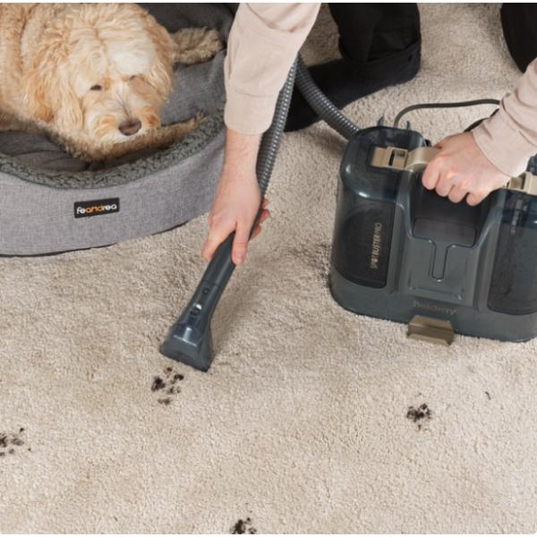 Beldray 450W Spotbuster Pro 1.8L