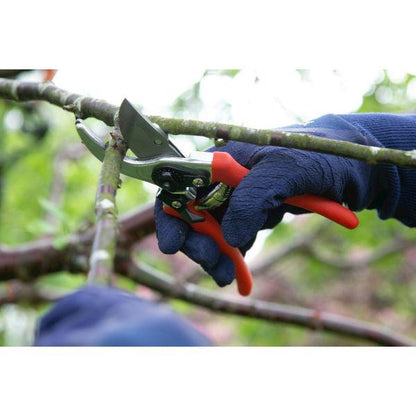 Wilkinson Sword Folding Saw and Pruner set