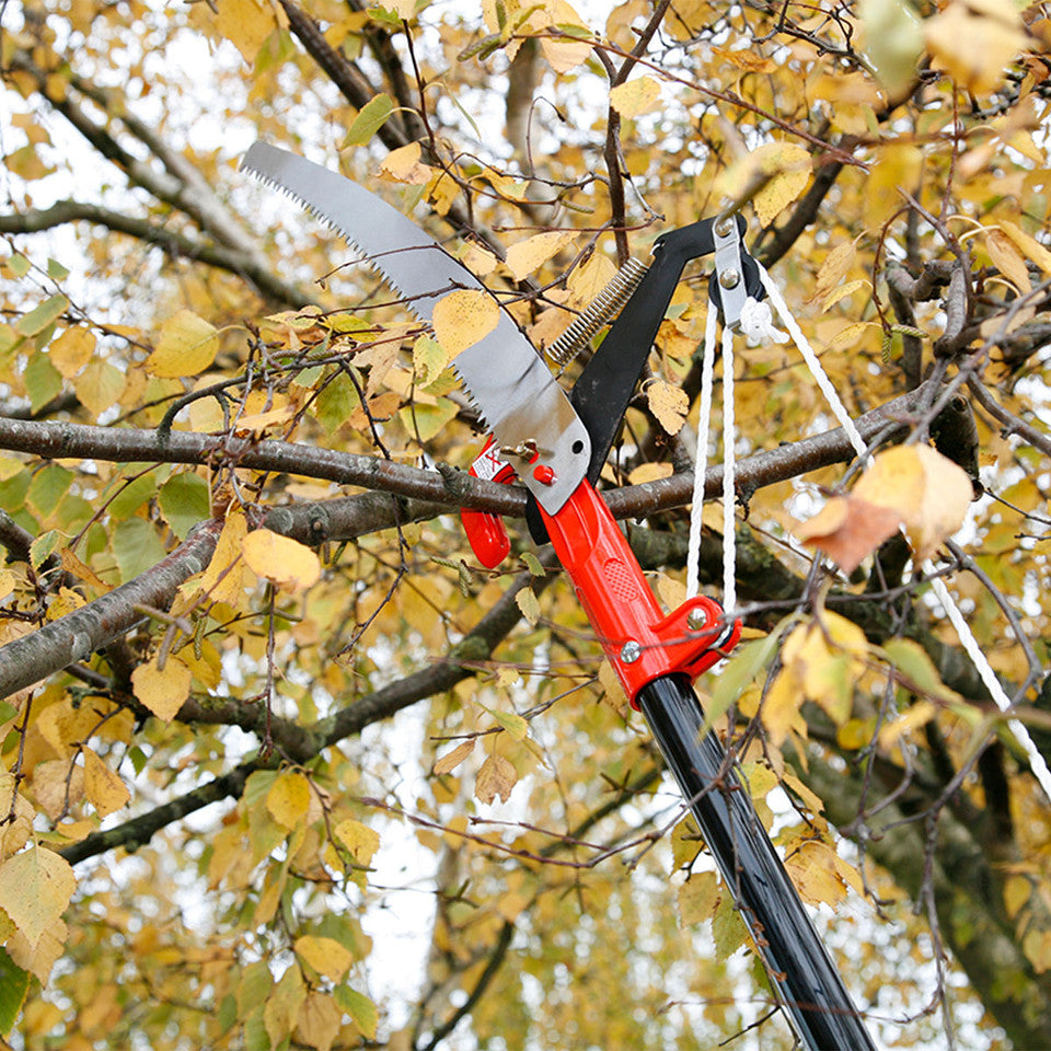 Tree Star Cutter Wilkinson Sword 25mm Cut Telescopic Tree Cutter – Co-Op Superstores
