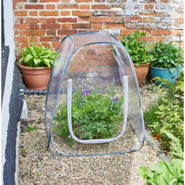 Smart Grozone Pop-Up Grozone - 50cm X 50Ccm