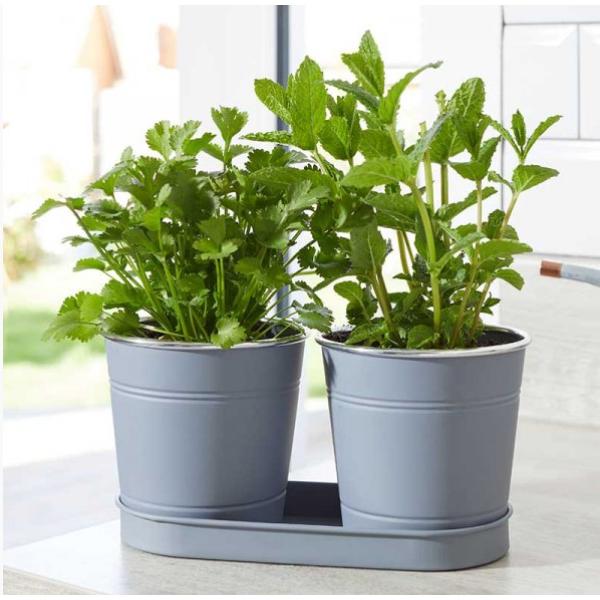 Smart Hanging And Patio Gardening 1 Litre Herb Pots - Slate