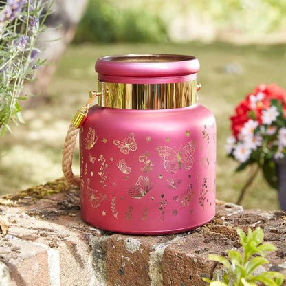Smart Garden Outside In Designs Papillon Lantern