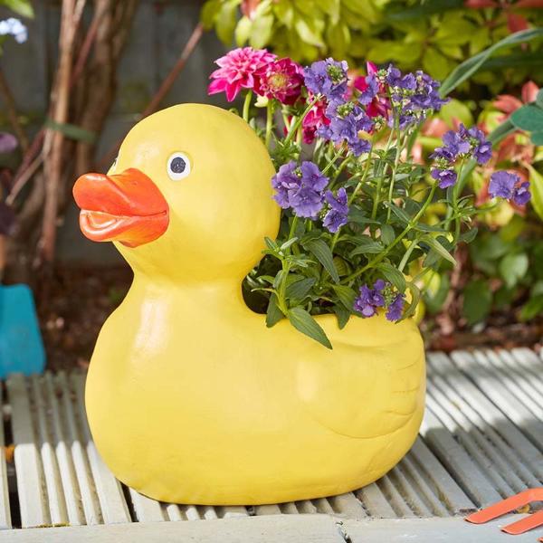 Smart Garden Flamboya Duck Planter