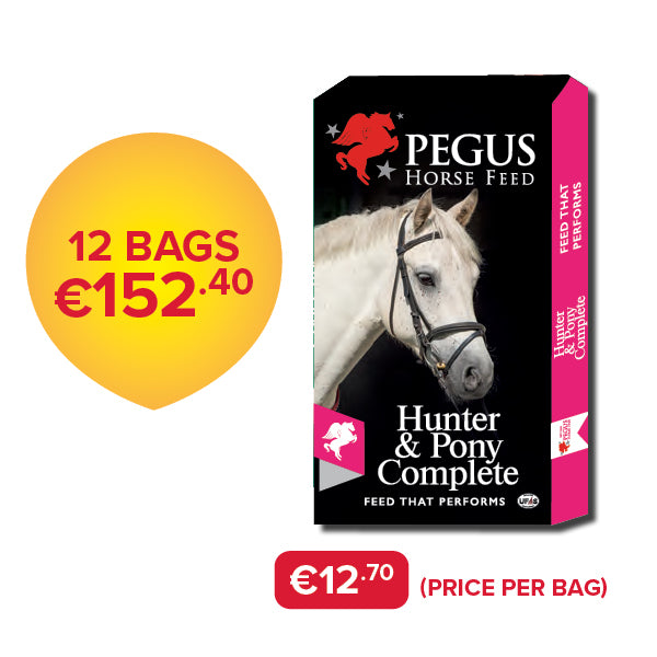Pegus Horse Feed - Hunter &amp; Pony Complete (Bundle of 12)