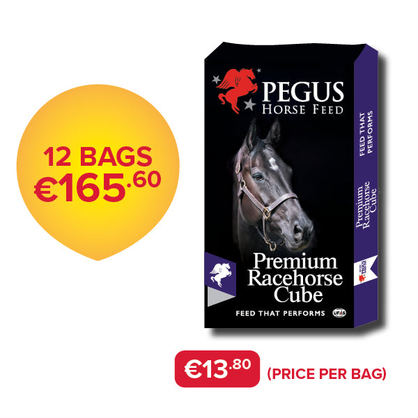 Pegus Horse Feed - Premium Racecourse Cube (Bundle of 12)