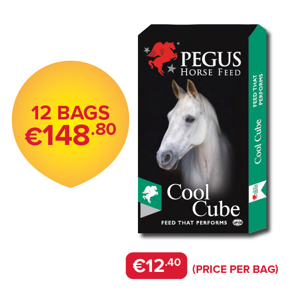 Pegus Horse Feed - Cool Cube (Bundle of 12)