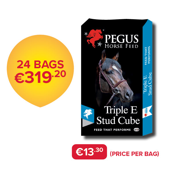 Pegus Horse Feed - Triple E Stud Cube (Bundle of 24)