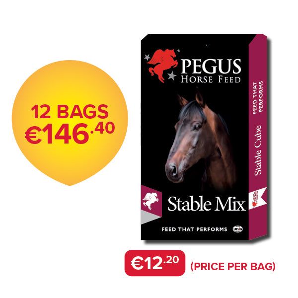 Pegus Horse Feed - Stable Mix (Bundle of 12)